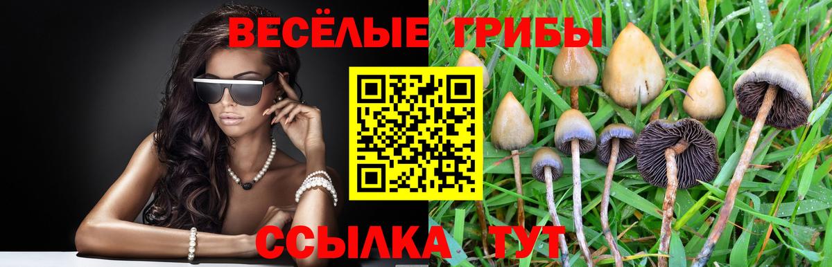 Псилоцибиновые грибы прущие грибы Корсаков